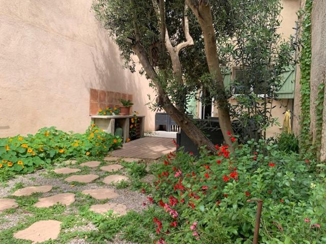 Apartament L'Olivier De Nonna Gruissan Zewnętrze zdjęcie