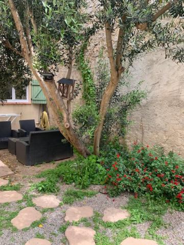 Apartament L'Olivier De Nonna Gruissan Zewnętrze zdjęcie